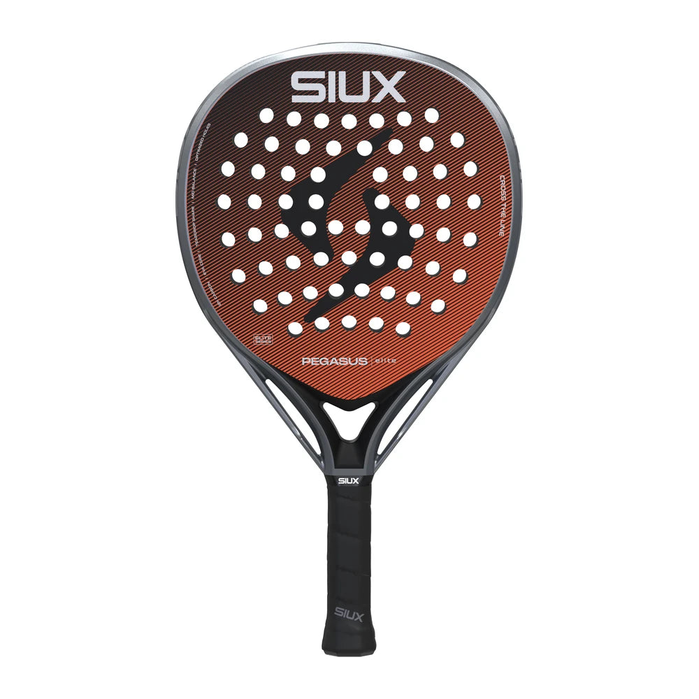 Siux Pegasus Elite 4 2026